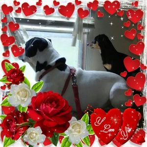 Meet your Posher, Cathy